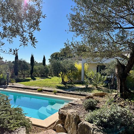 La Villa Aux Oliviers Flayosc Bagian luar foto
